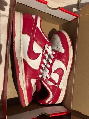 Nike Dunk Low Retro Gym Red USC